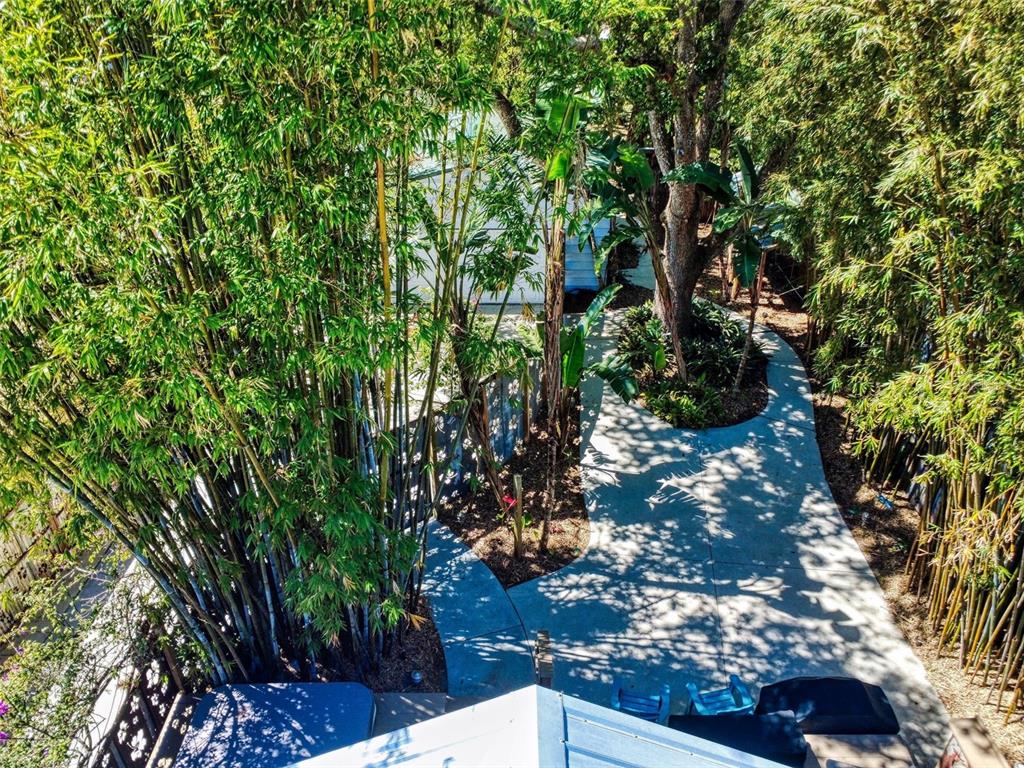 536 Faulkner Street New Smyrna Beach, FL 32168 - Photo 49 of 57 a picture of tree