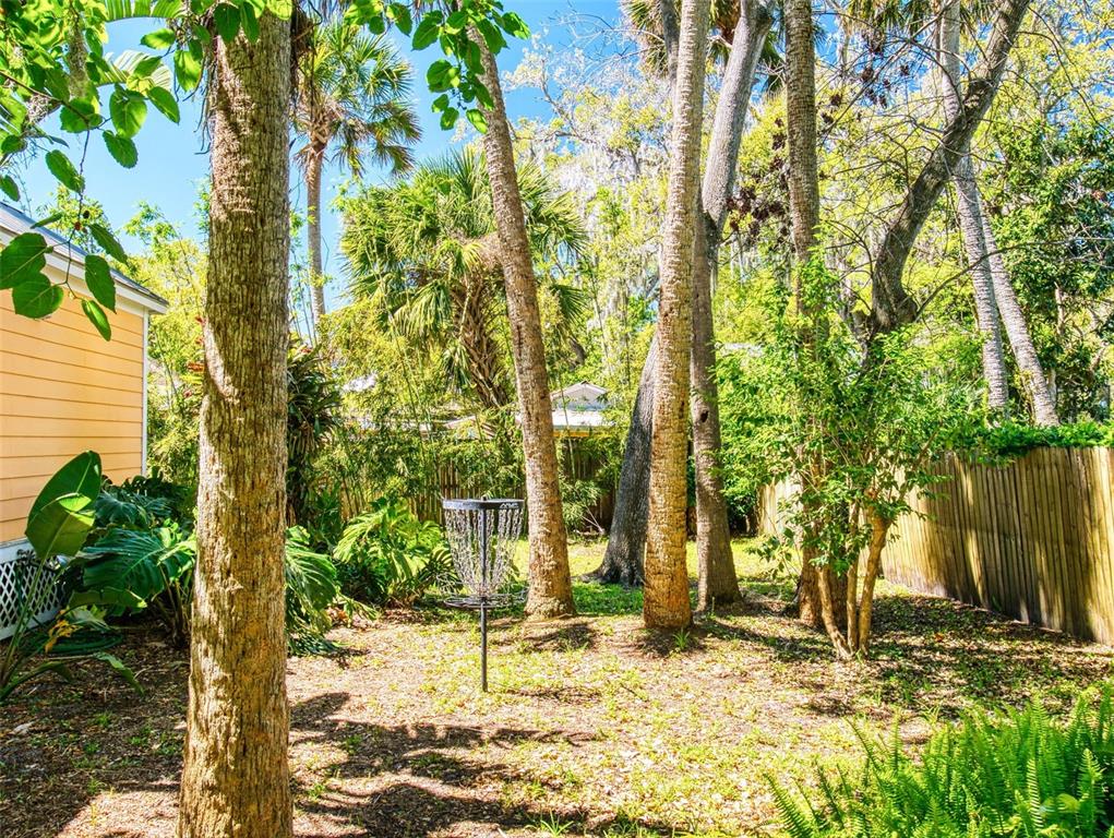 536 Faulkner Street New Smyrna Beach, FL 32168 - Photo 52 of 57