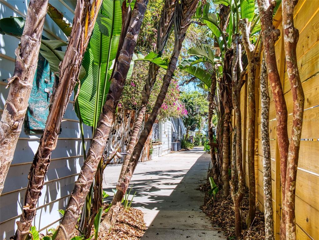 536 Faulkner Street New Smyrna Beach, FL 32168 - Photo 53 of 57 a view of a yard with plants and trees