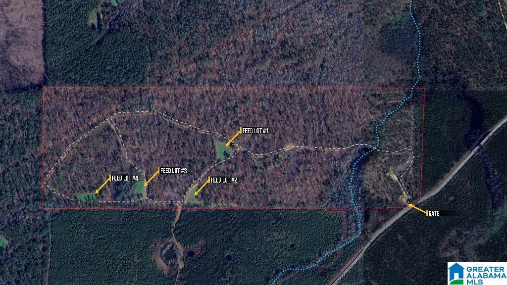 200 Kelly Creek Road Odenville, AL 35120 - Photo 6 of 47