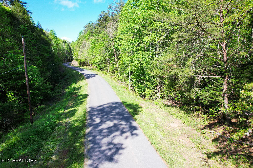 4 Three Point Road Vonore, TN 37885 - Photo 3 of 6 02