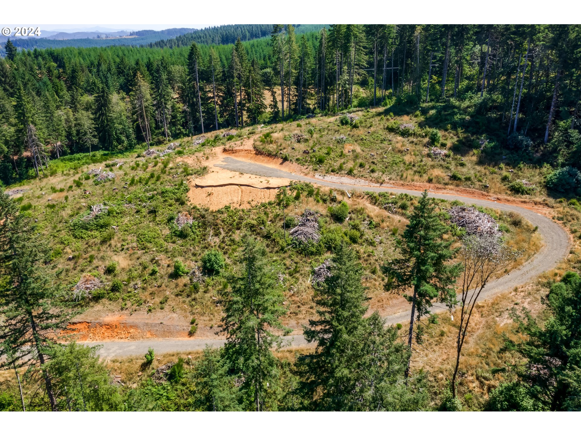 Bolton Hill Road Veneta, OR 97487 - Photo 3 of 15 Gallery Image 3