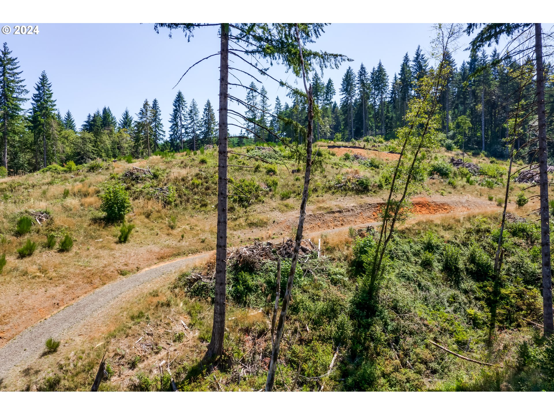 Bolton Hill Road Veneta, OR 97487 - Photo 5 of 15 Gallery Image 5