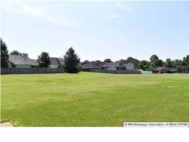 7390 Davidson Road Olive Branch, MS 38654 - Photo 26 of 27 Additional Photo