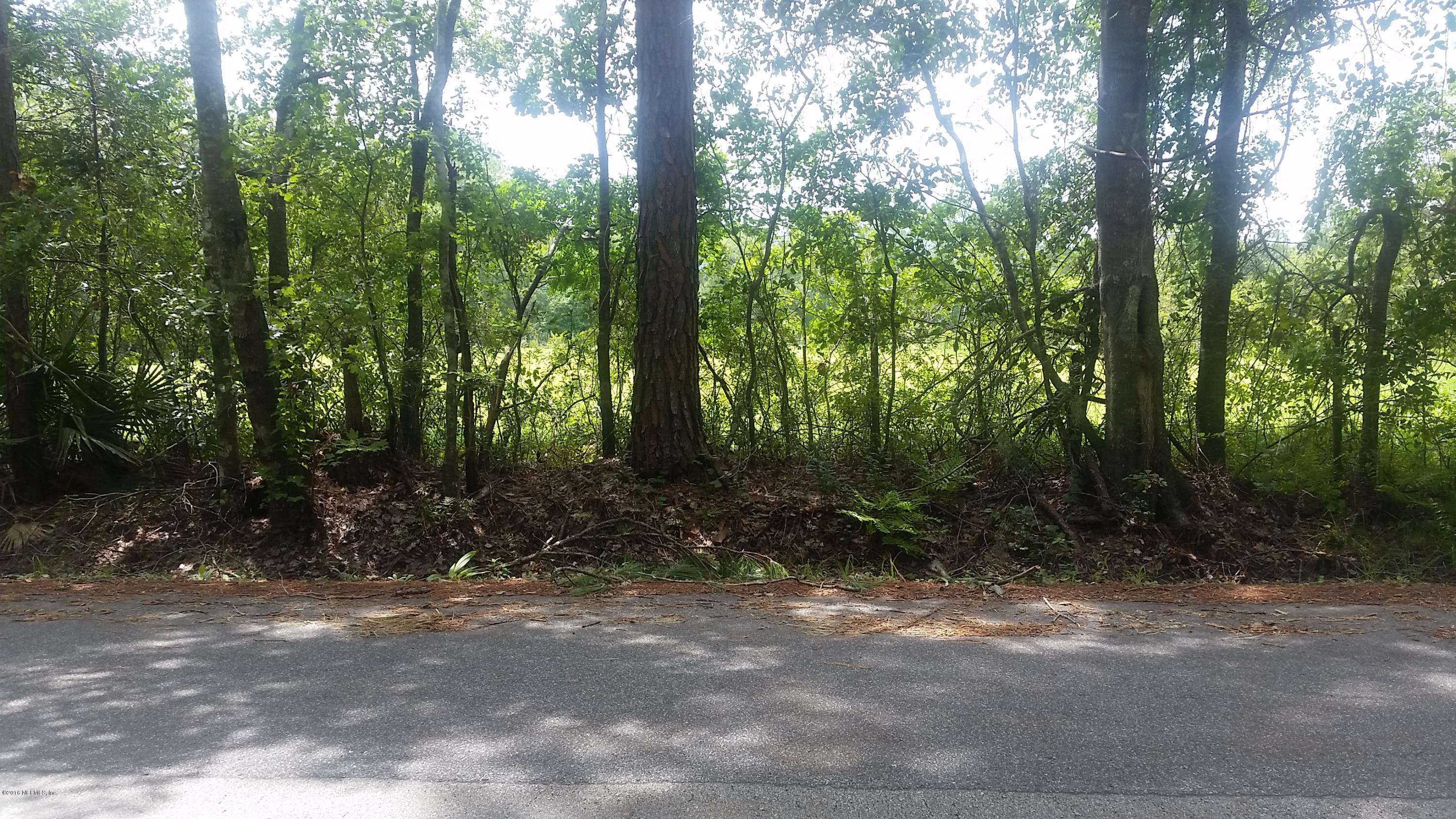 114 Bostwick Cemetery Road Palatka, FL 32177 - Photo 11 of 12 ViewfromtheProperty