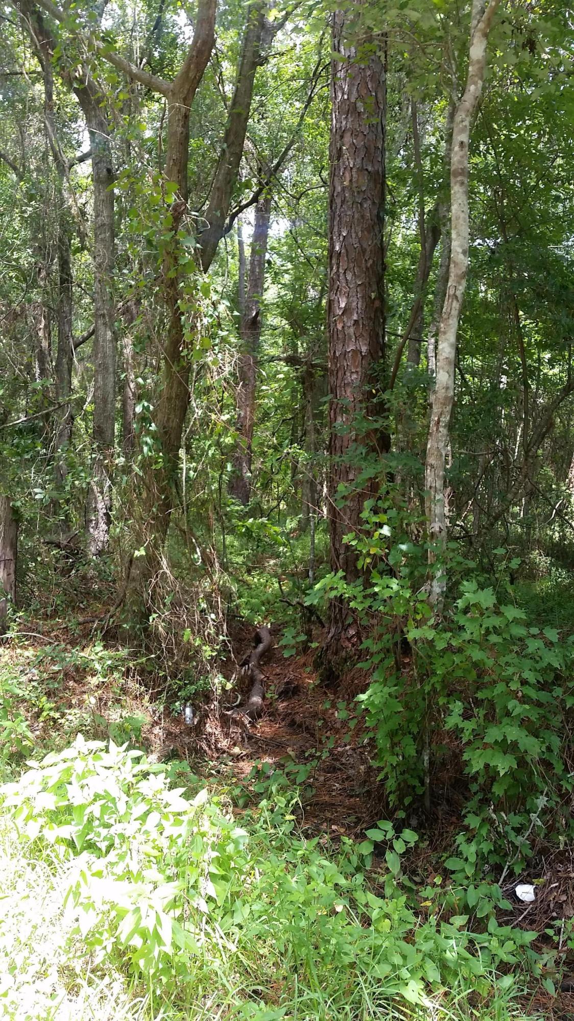 114 Bostwick Cemetery Road Palatka, FL 32177 - Photo 8 of 12 7