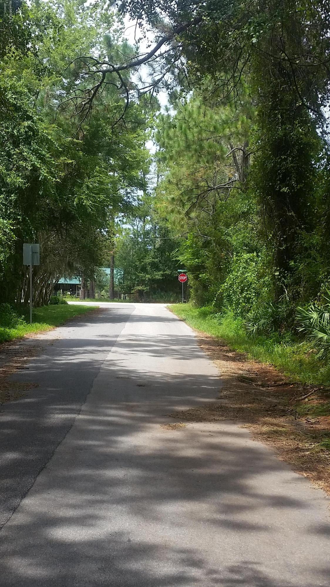 114 Bostwick Cemetery Road Palatka, FL 32177 - Photo 9 of 12 LookingtowardsPalmettoBluffRd