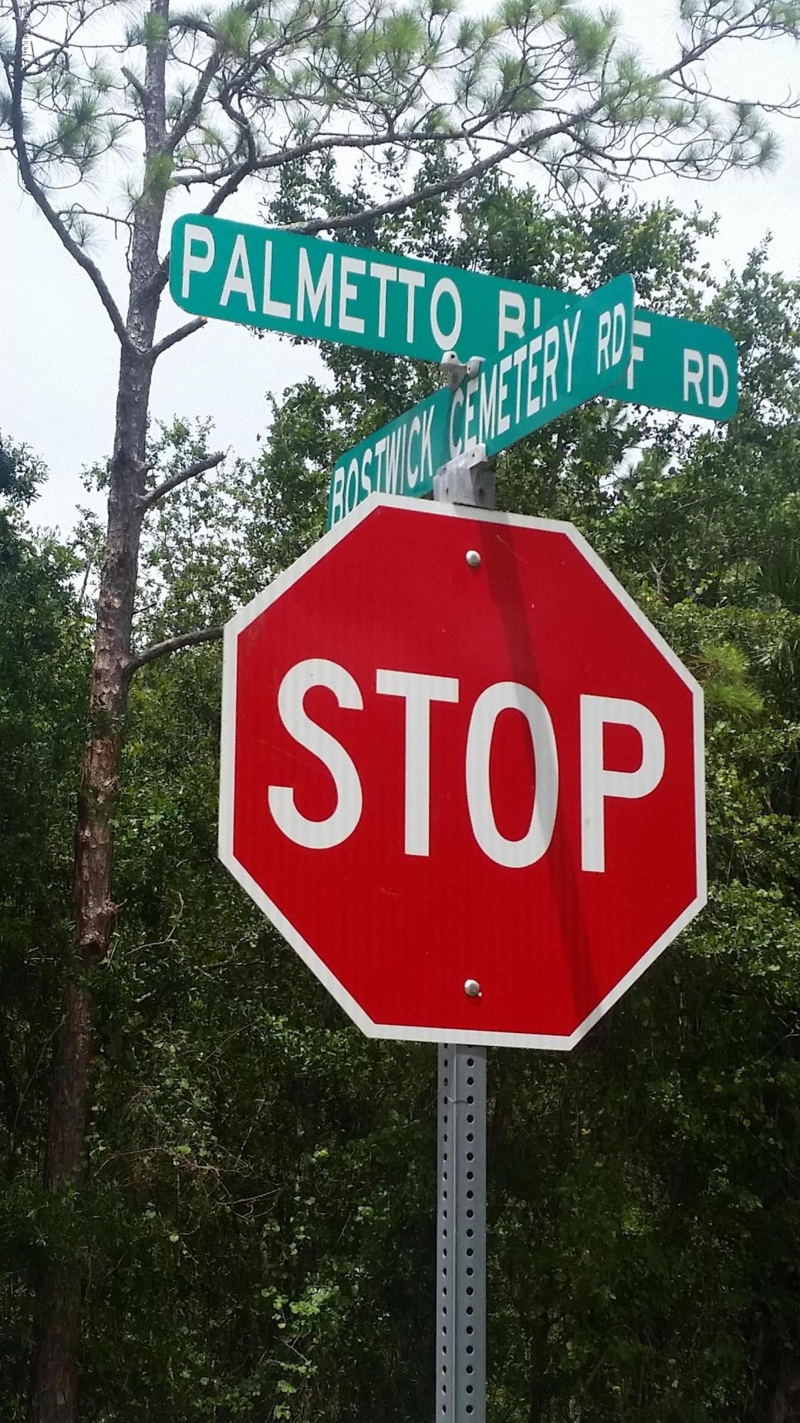 114 Bostwick Cemetery Road Palatka, FL 32177 - Photo 10 of 12 3