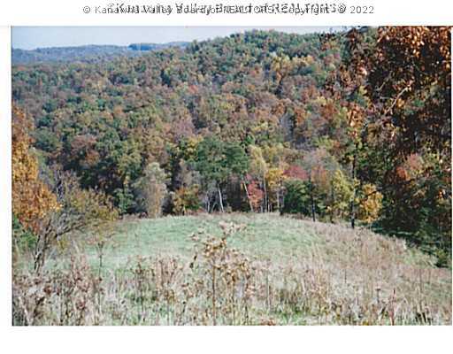 0 Rt 21/19 Puckett Ripley, WV 25271 - Photo 3 of 5 Land.