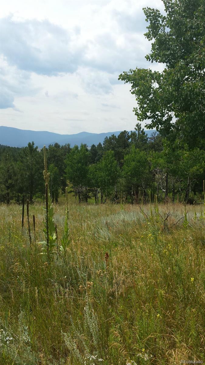 Hummingbird Hill Road Conifer, CO 80433 - Photo 1 of 8 Gallery Image 1