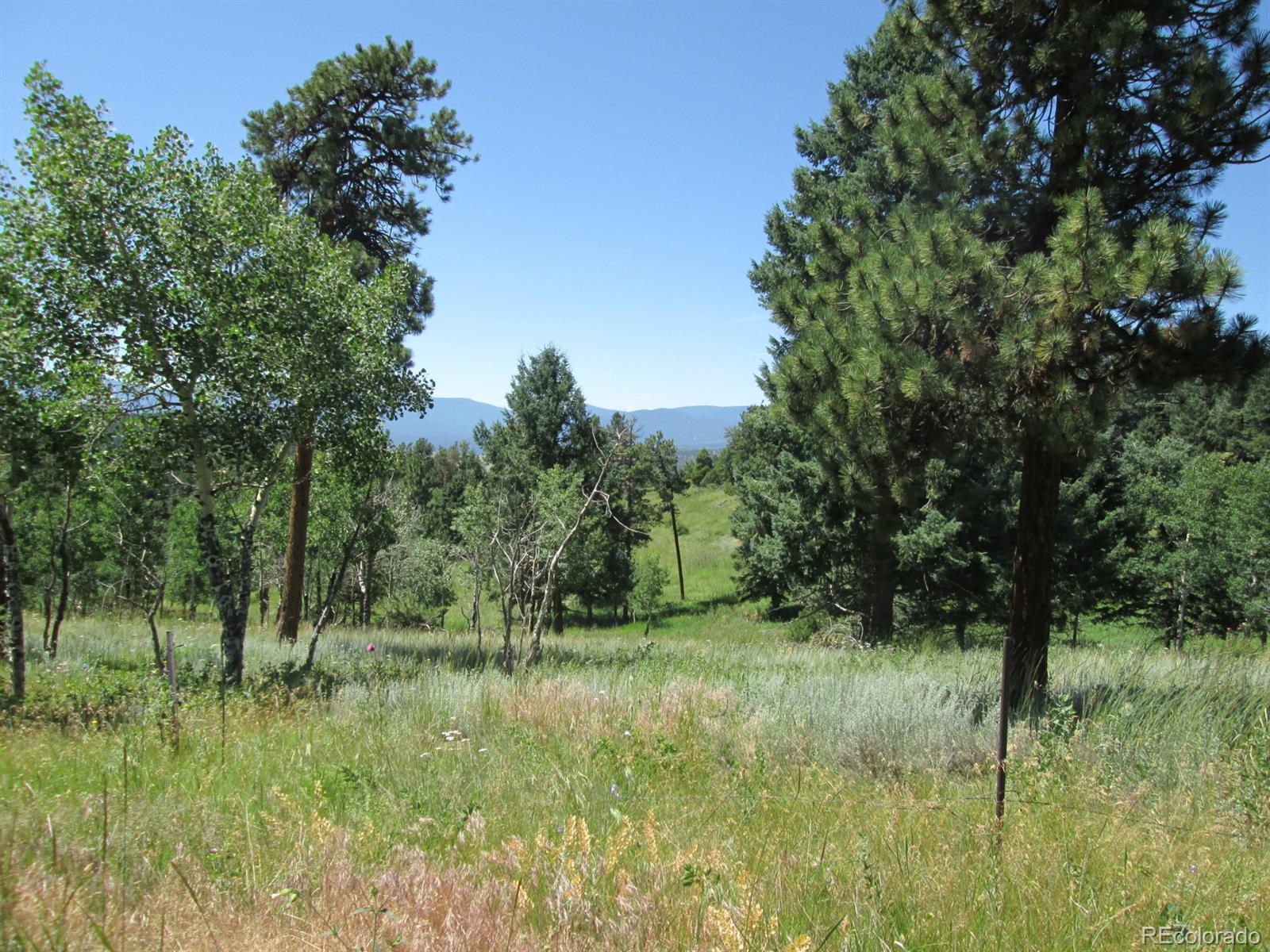 Hummingbird Hill Road Conifer, CO 80433 - Photo 2 of 8 Gallery Image 2