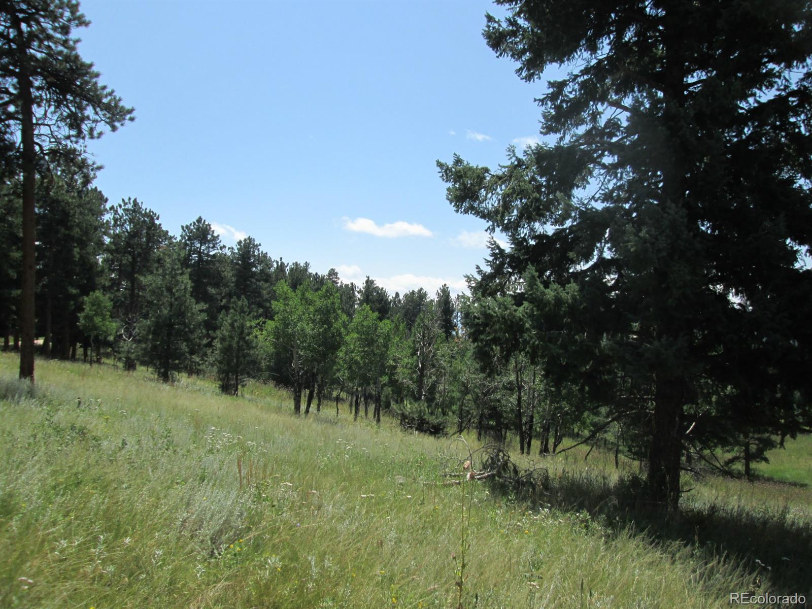 Hummingbird Hill Road Conifer, CO 80433 - Photo 5 of 8 Gallery Image 5