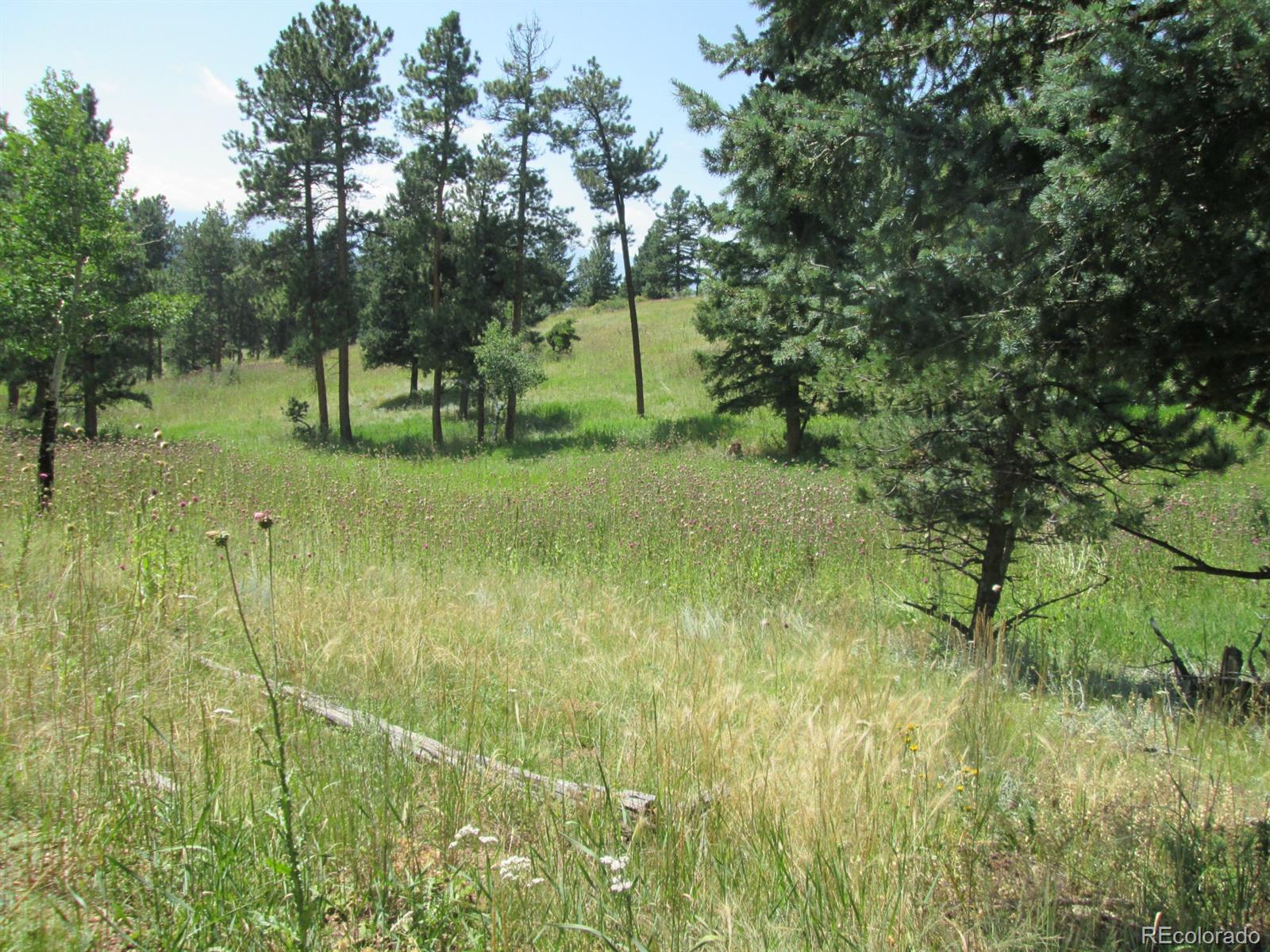 Hummingbird Hill Road Conifer, CO 80433 - Photo 7 of 8 Gallery Image 7