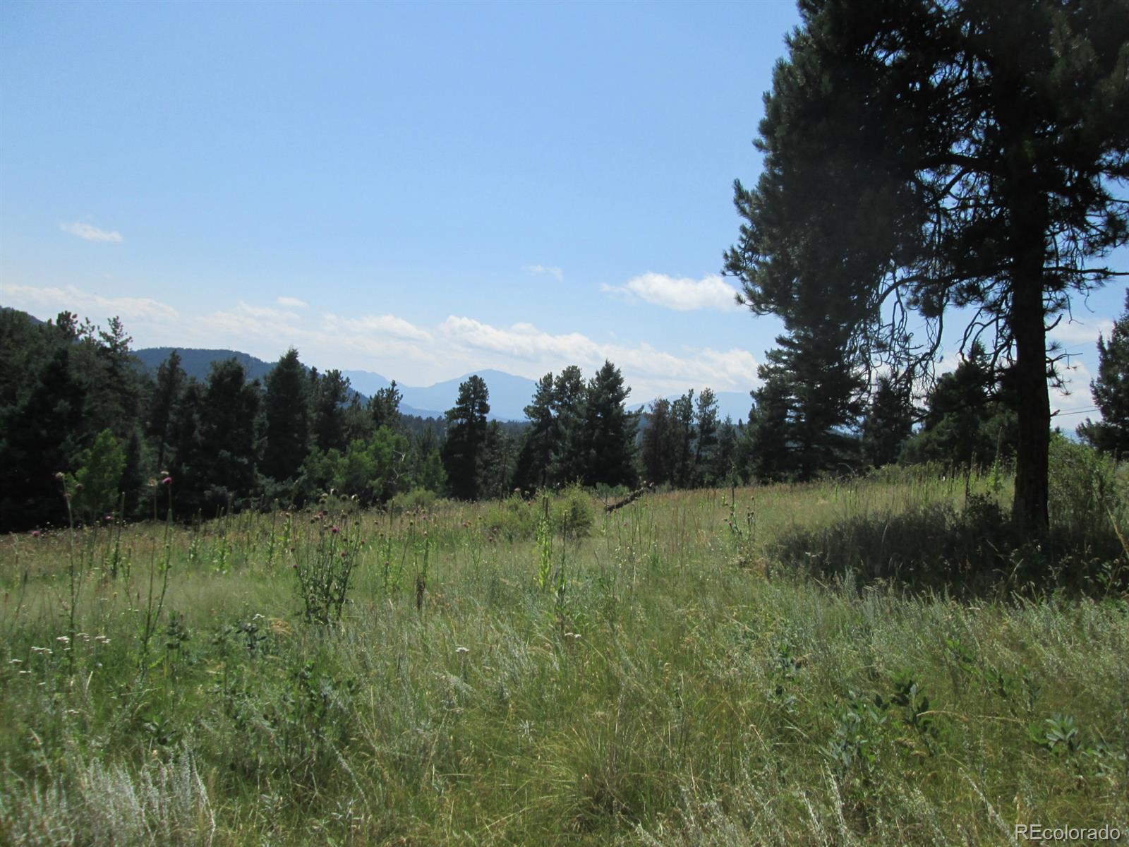 Hummingbird Hill Road Conifer, CO 80433 - Photo 8 of 8 Gallery Image 8