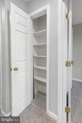 a view of walk in closet