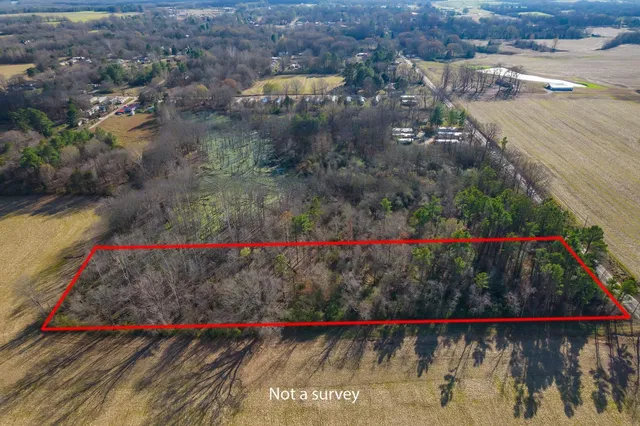 a view of a yard with a tree