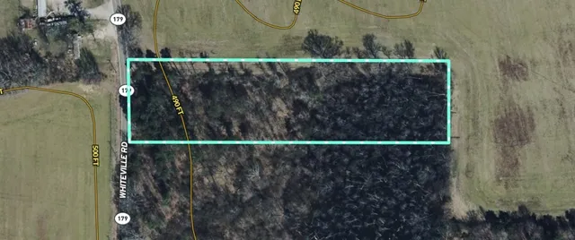 a close up of a plant