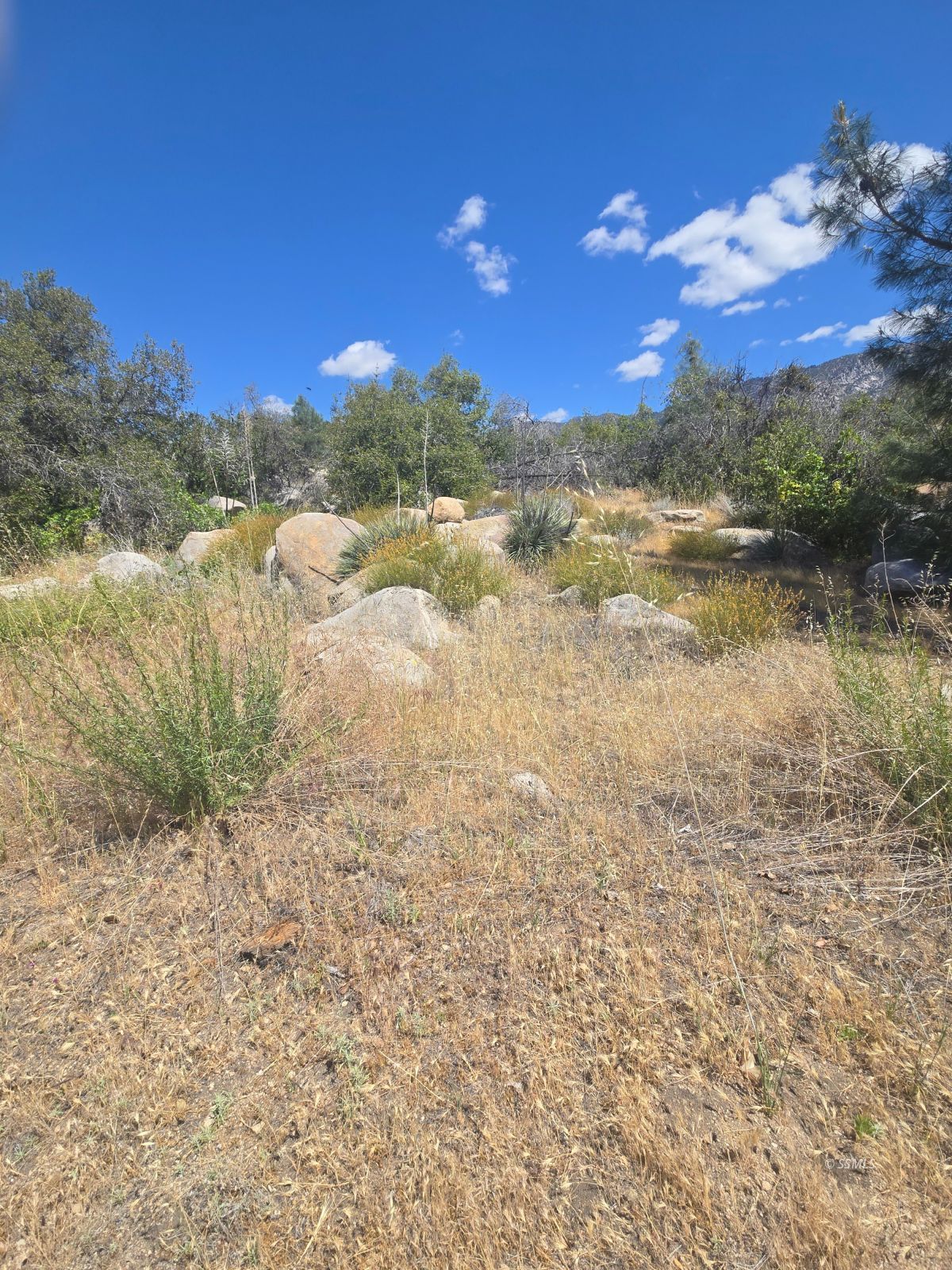 9576 Glacier Gulch Road Weldon, CA 93283 - Photo 8 of 13