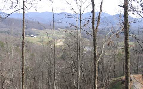 J66 Ash Knob Road Hayesville, NC 28904 - Photo 1 of 1 Main View