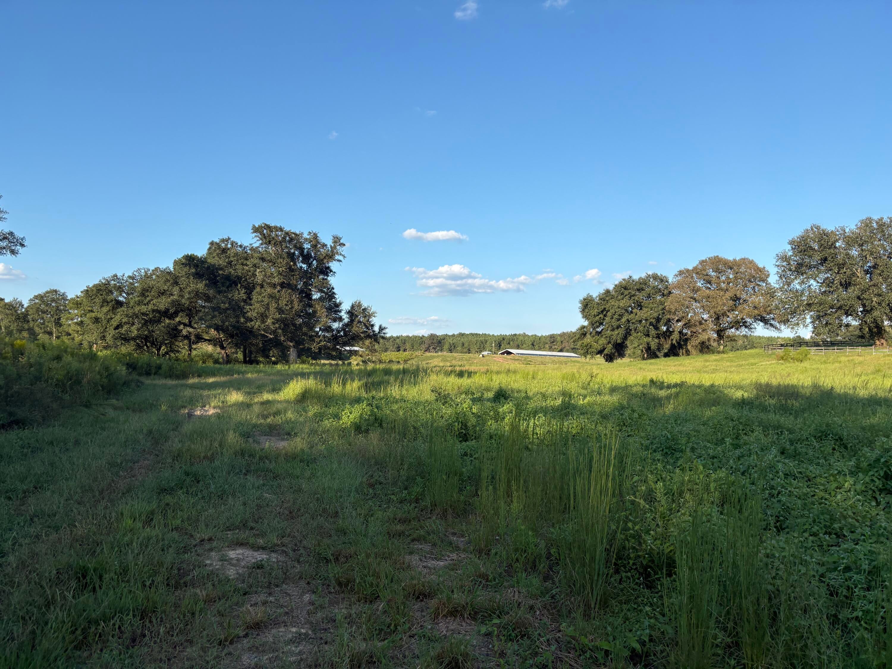 0 Sawmill Road Sandy Hook, MS 39478 - Photo 7 of 17 Gallery Image 7