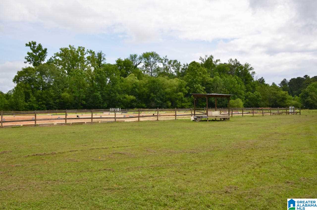 125 Hebb Road Wilsonville, AL 35186 - Photo 38 of 39