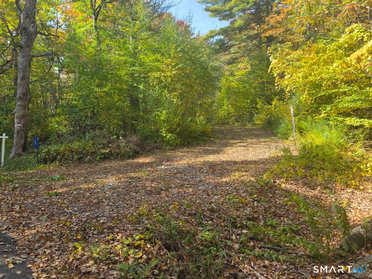 53 Flagg Hill Road Colebrook, CT 06021 - Photo 5 of 17 Gallery Image 5