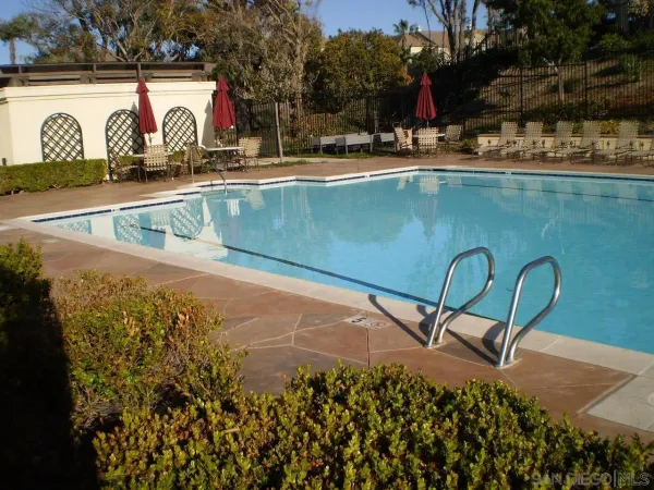 a view of a swimming pool with a bench and trees around