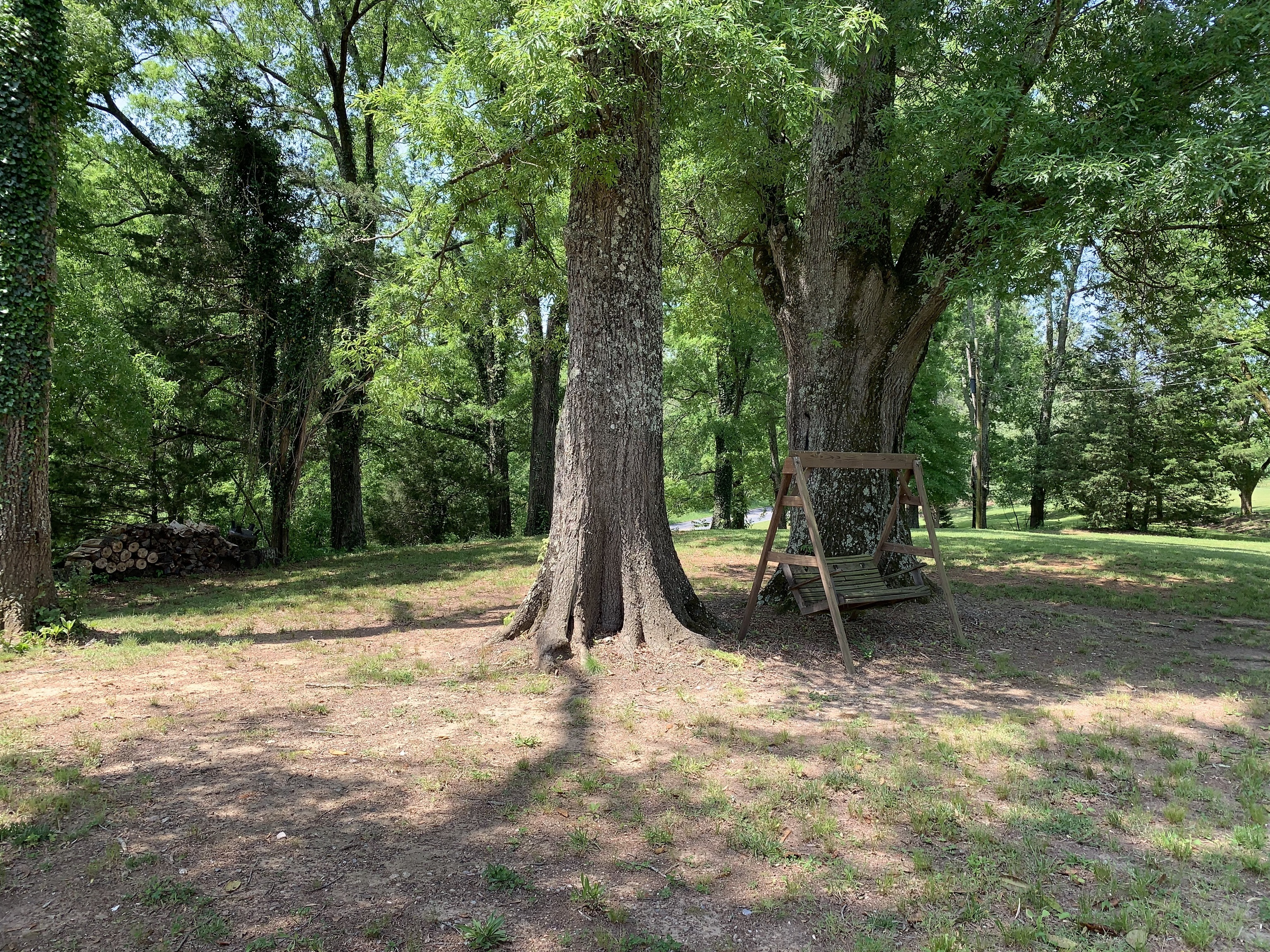 a view of outdoor space with trees