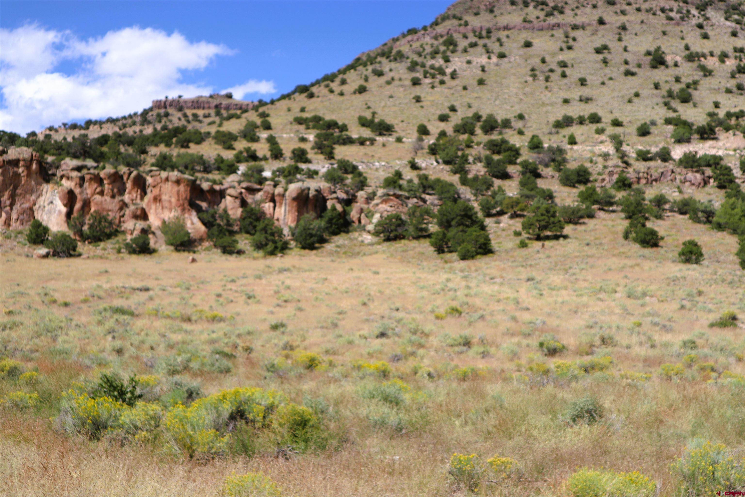 0 Tract 43 Wapiti Ridge Road Del Norte, CO 81132 - Photo 4 of 6 a view of a field