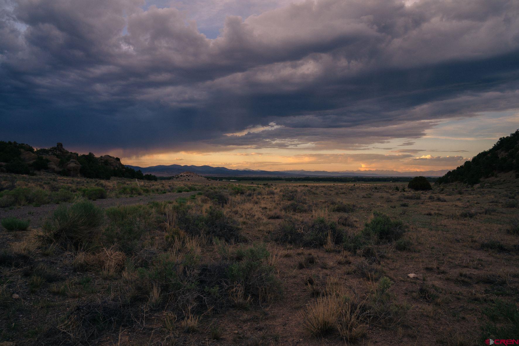 0 Tract 43 Wapiti Ridge Road Del Norte, CO 81132 - Photo 5 of 6 a view of a yard