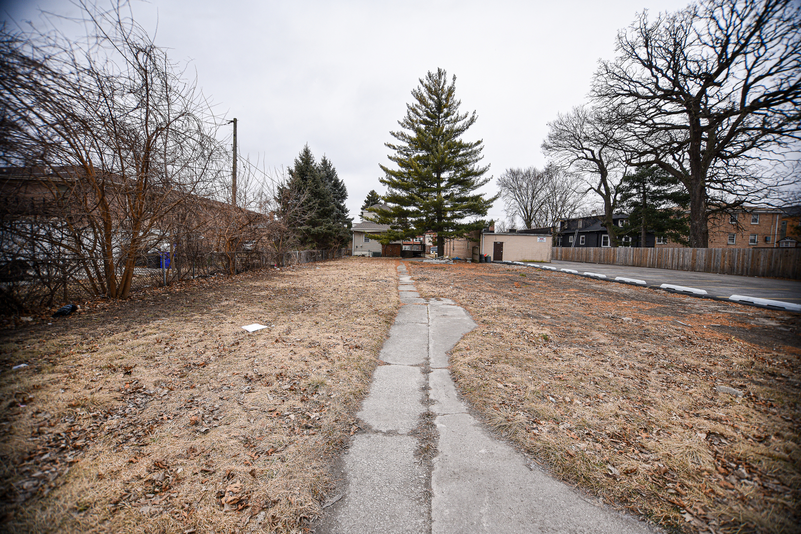 7316 39th Street Lyons, IL 60534 - Photo 24 of 24
