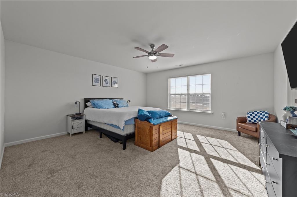 368 Brann Road Browns Summit, NC 27214 - Photo 21 of 31 Gallery Image 21