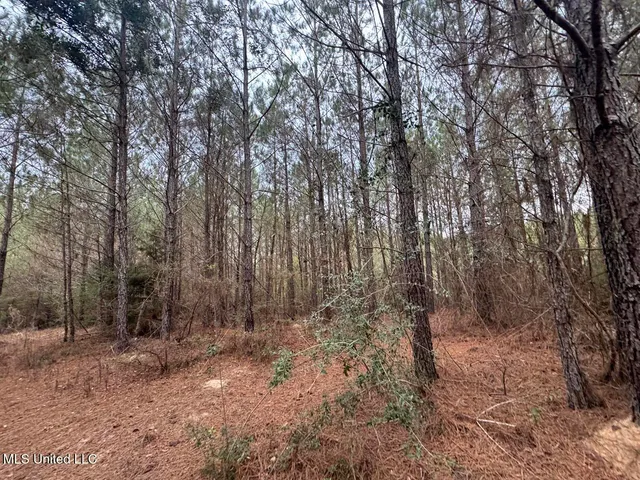 $37,000 | 57 Mose Hilliard Road, Sontag, MS 39665