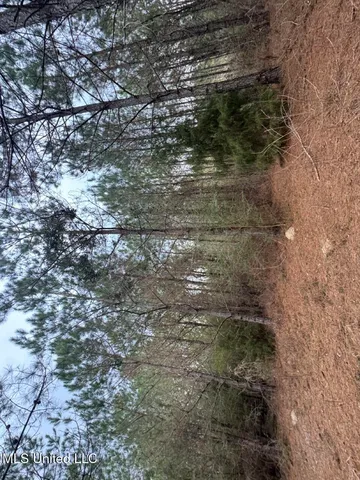 $37,000 | 57 Mose Hilliard Road, Sontag, MS 39665