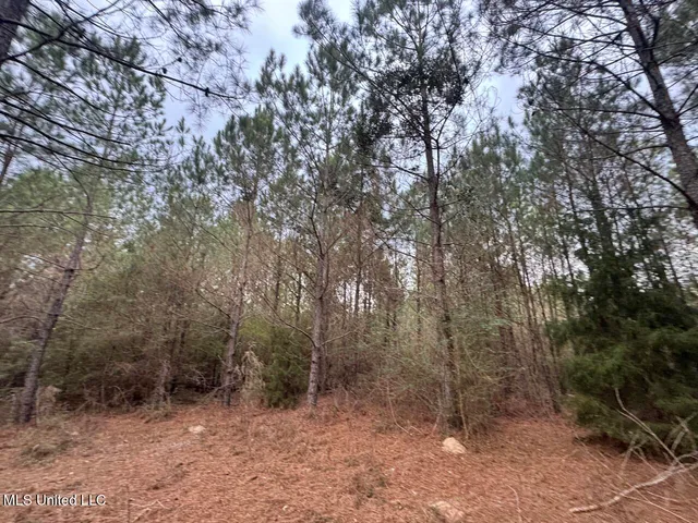 $37,000 | 57 Mose Hilliard Road, Sontag, MS 39665