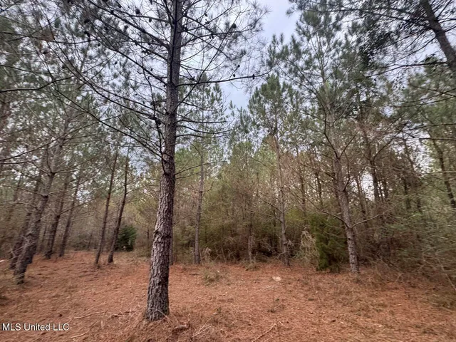 $37,000 | 57 Mose Hilliard Road, Sontag, MS 39665