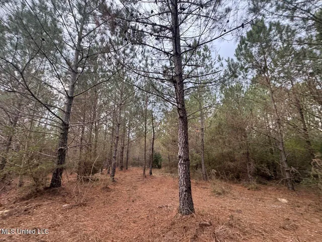 $37,000 | 57 Mose Hilliard Road, Sontag, MS 39665