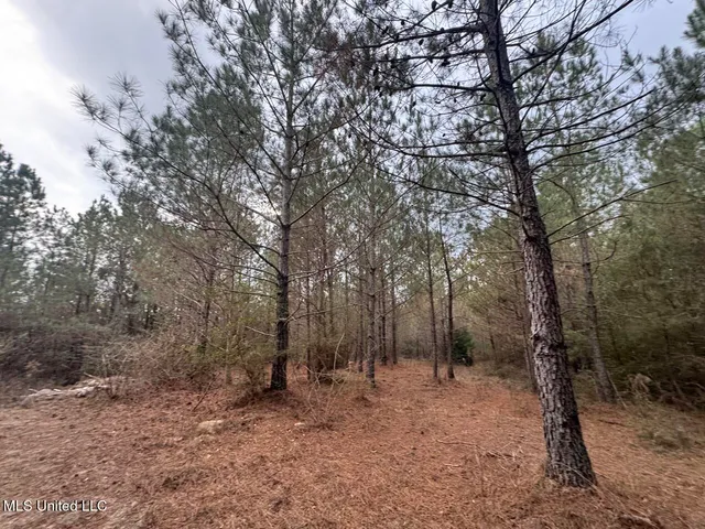 $37,000 | 57 Mose Hilliard Road, Sontag, MS 39665