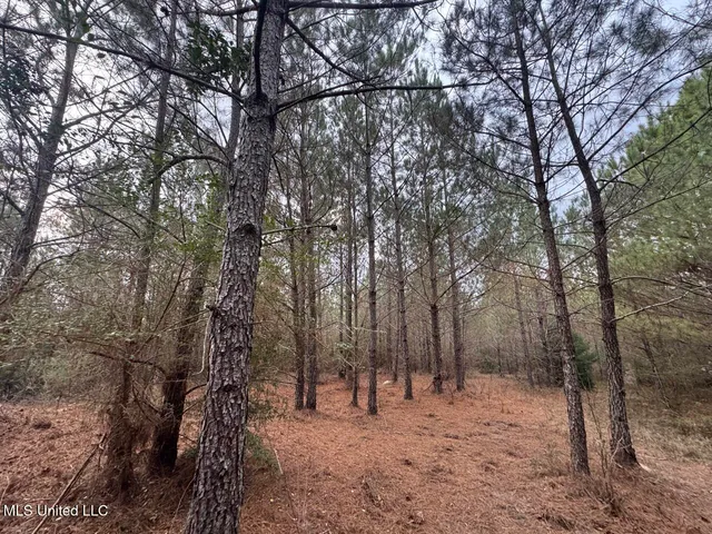 $37,000 | 57 Mose Hilliard Road, Sontag, MS 39665