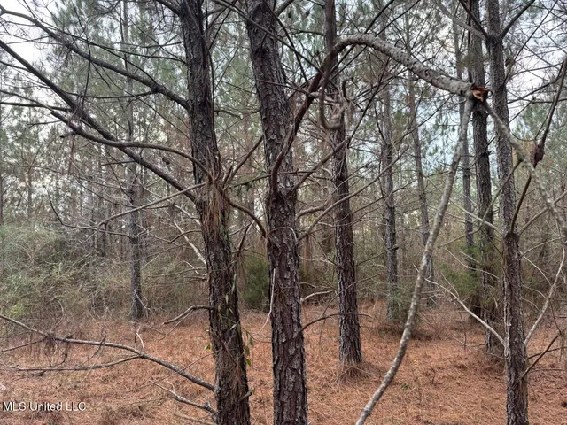 $37,000 | 57 Mose Hilliard Road, Sontag, MS 39665