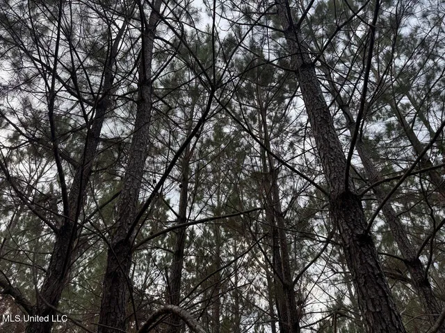 $37,000 | 57 Mose Hilliard Road, Sontag, MS 39665