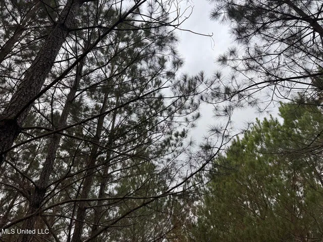 $37,000 | 57 Mose Hilliard Road, Sontag, MS 39665