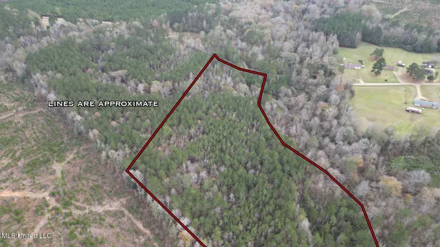 $37,000 | 57 Mose Hilliard Road, Sontag, MS 39665