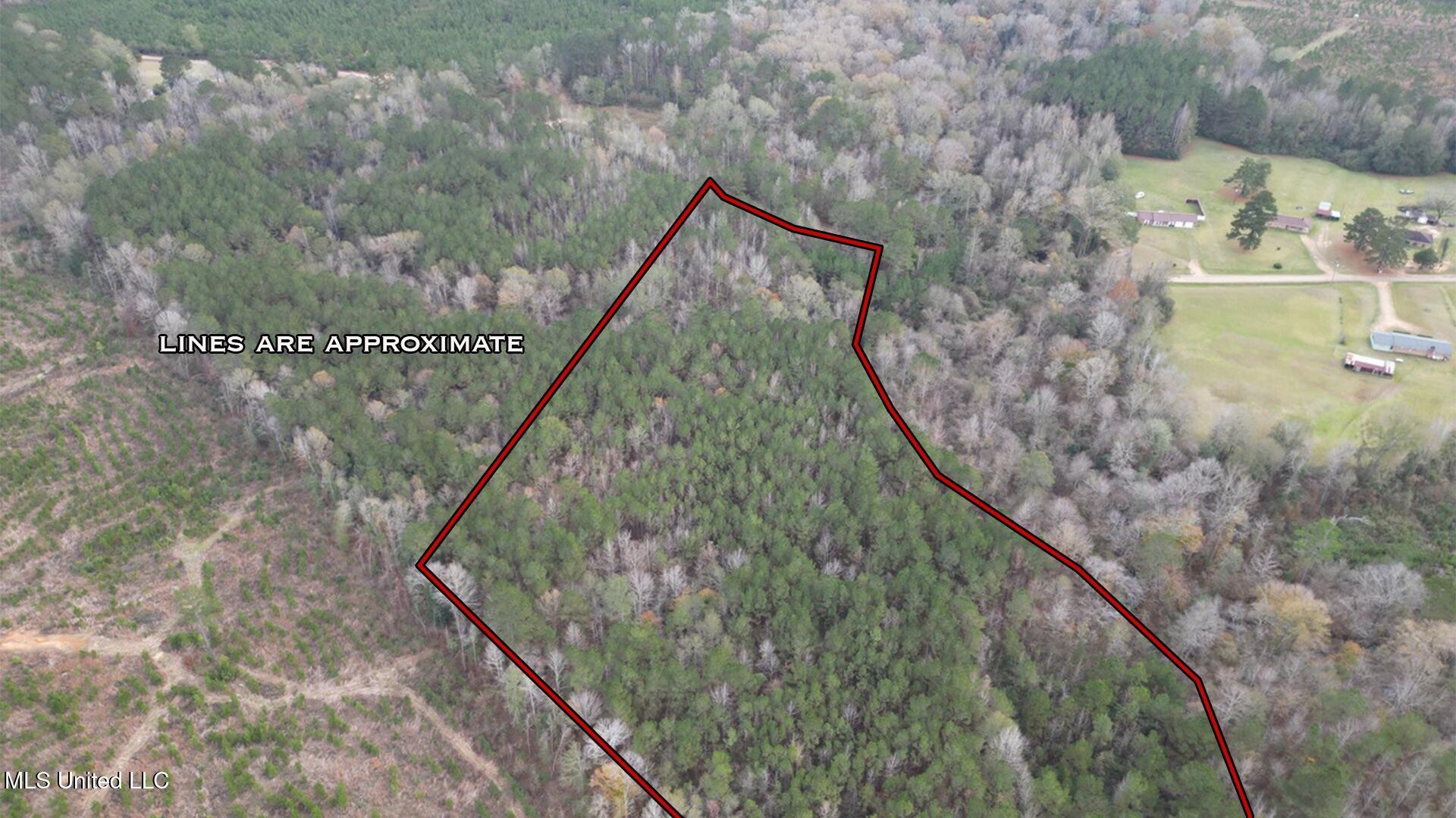 57 Mose Hilliard Road Sontag, MS 39665 - Photo 3 of 20 12 3