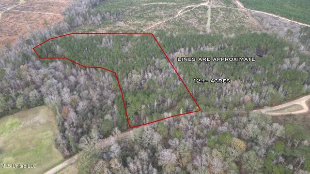 $37,000 | 57 Mose Hilliard Road, Sontag, MS 39665