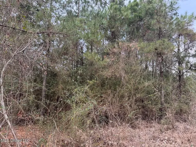 $37,000 | 57 Mose Hilliard Road, Sontag, MS 39665