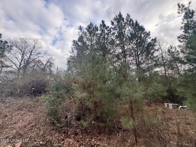 $37,000 | 57 Mose Hilliard Road, Sontag, MS 39665