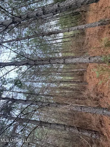 $37,000 | 57 Mose Hilliard Road, Sontag, MS 39665