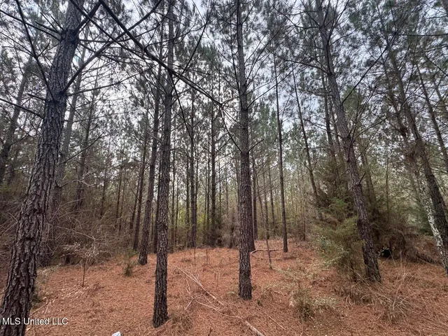 $37,000 | 57 Mose Hilliard Road, Sontag, MS 39665