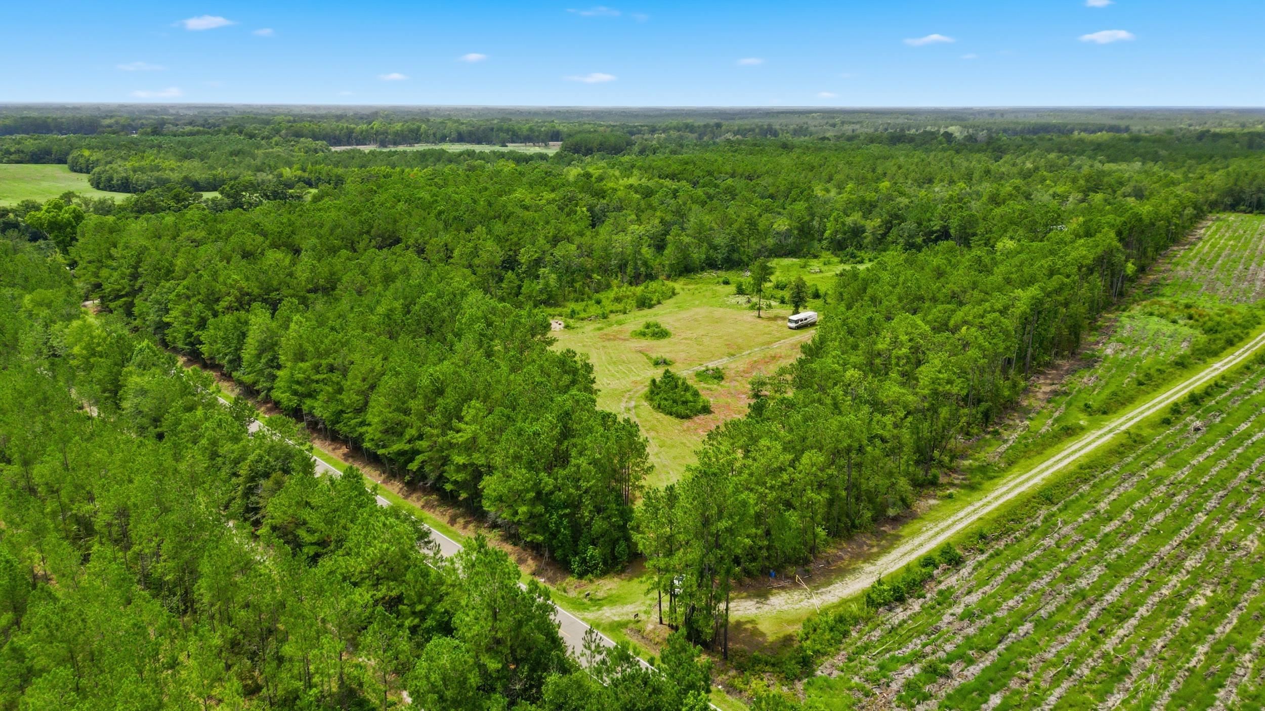 Tbd Williams Hill Road Hemingway, SC 29554 - Photo 4 of 27 Gallery Image 4